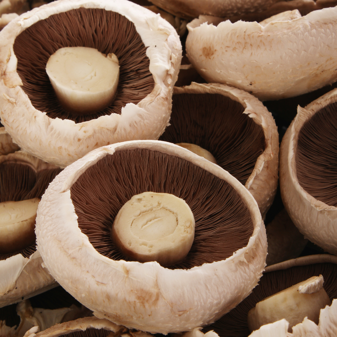 Fresh Portobello Mushrooms (200g / 3 pcs per Tray)