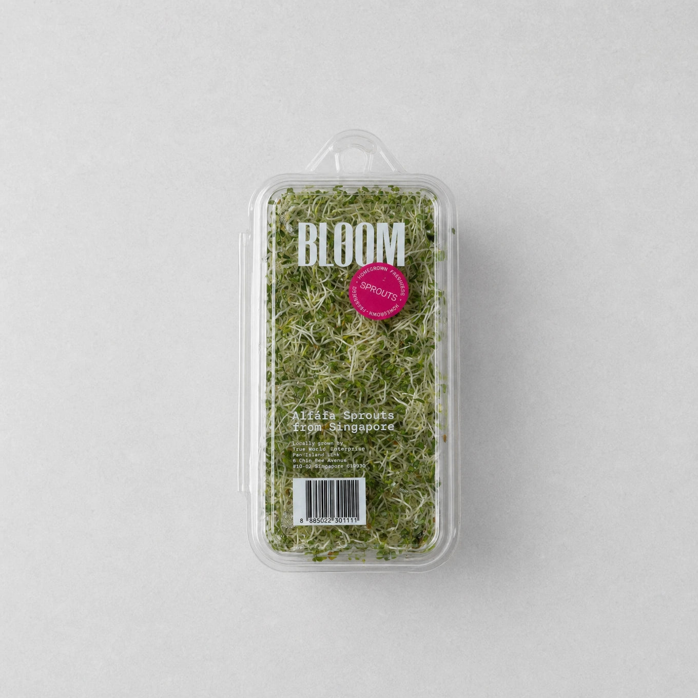 Alfalfa Sprouts, Singapore Grown (125g)