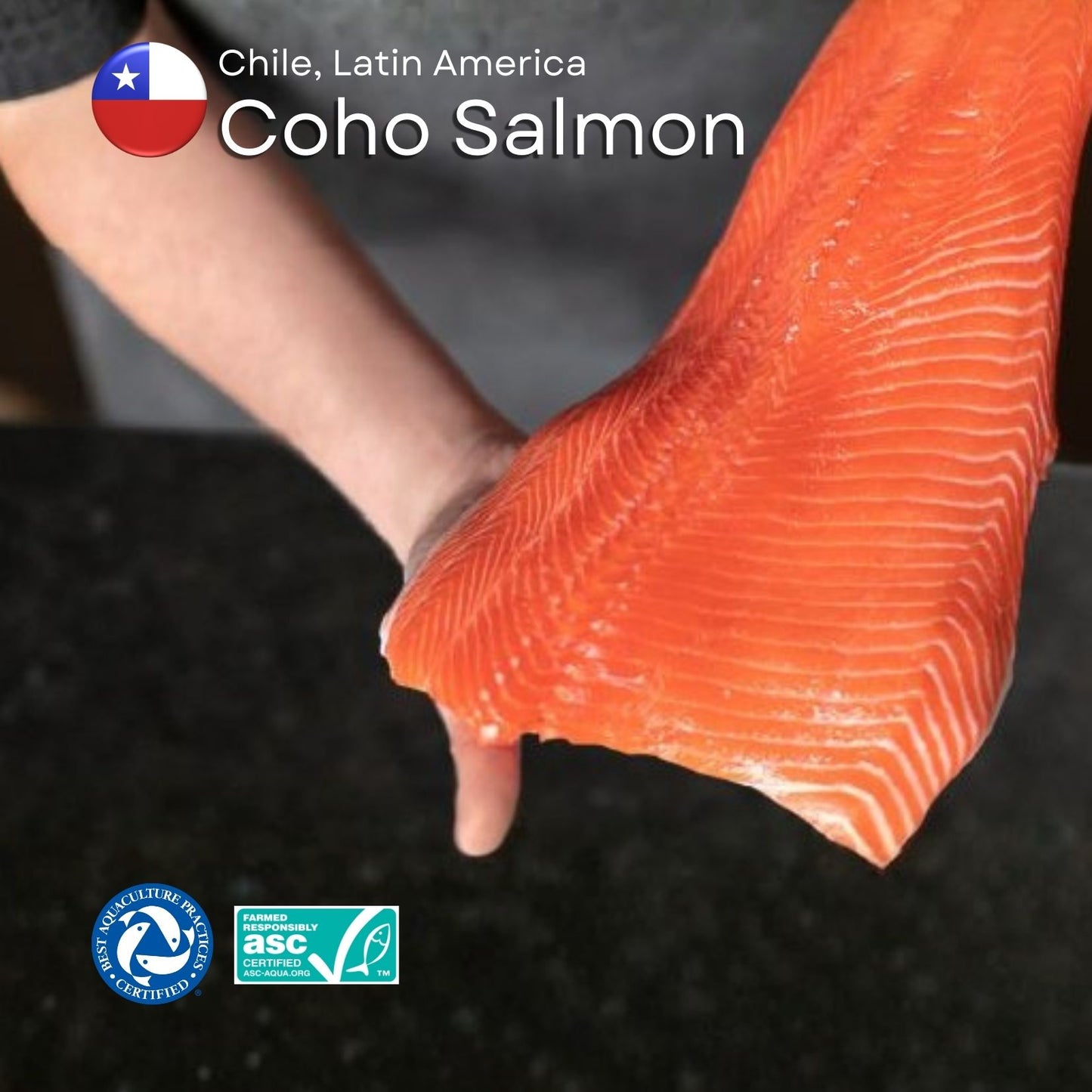 Coho Salmon (IQFrozen) +/-180gm