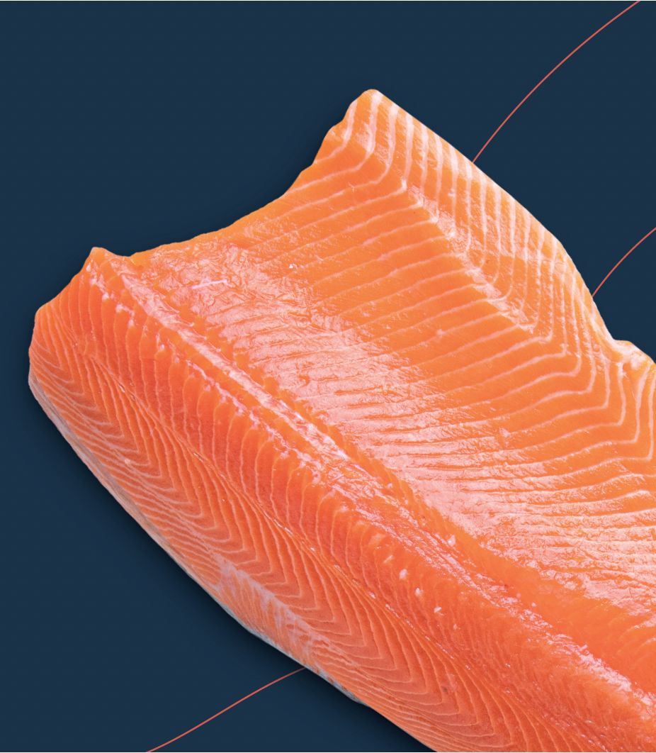 Coho Salmon Side Skin On(+/-1.2-1.6kg) (Individually Quick Frozen))