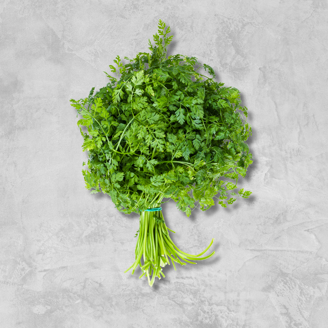 Bunch of fresh green parsley on a gray surface