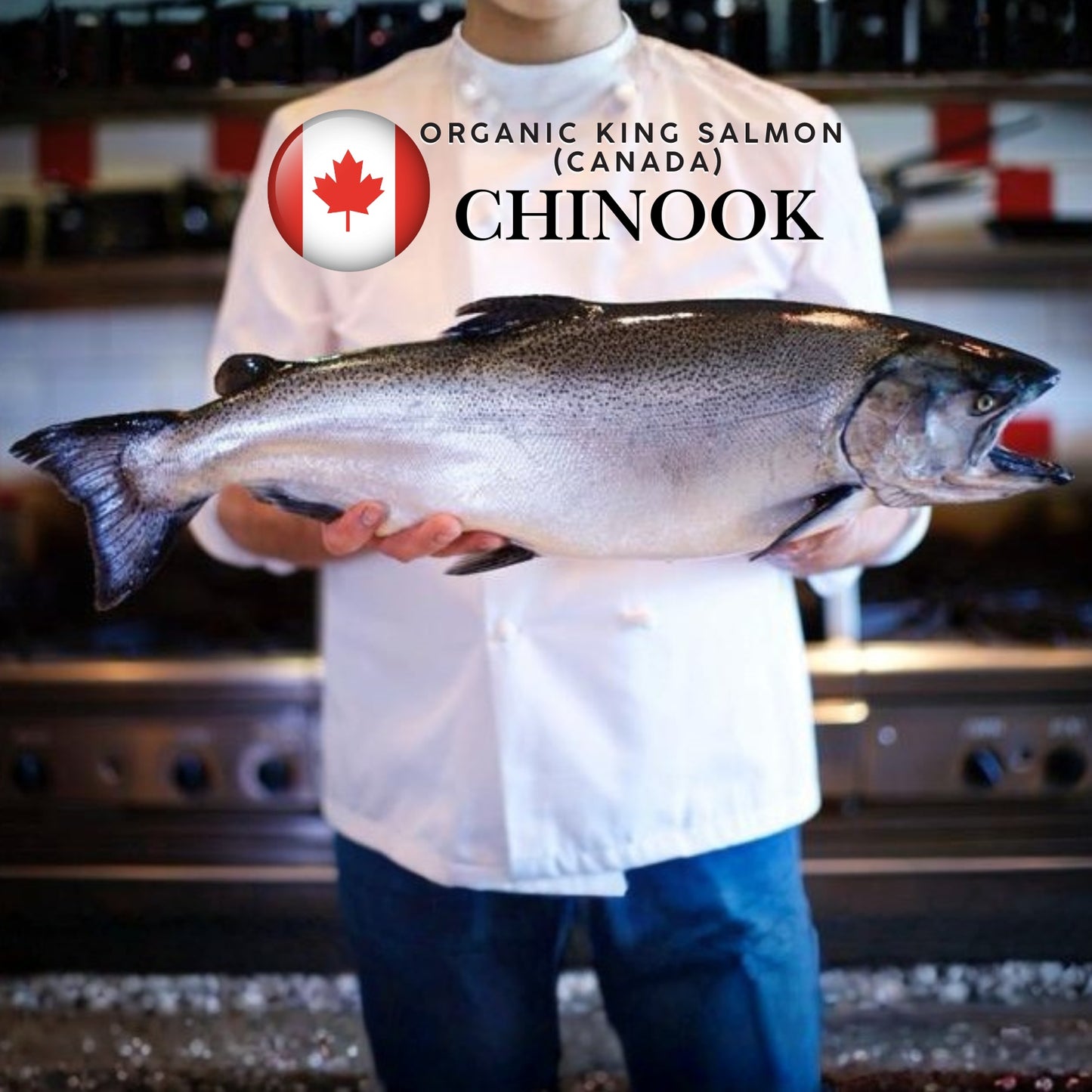 Organic Canadian Chinook/ King Salmon Skin-On Fillet (180g) (Chilled)