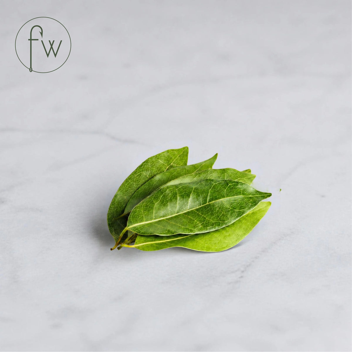 Fresh Bay Leaf - (10g/ Pack)