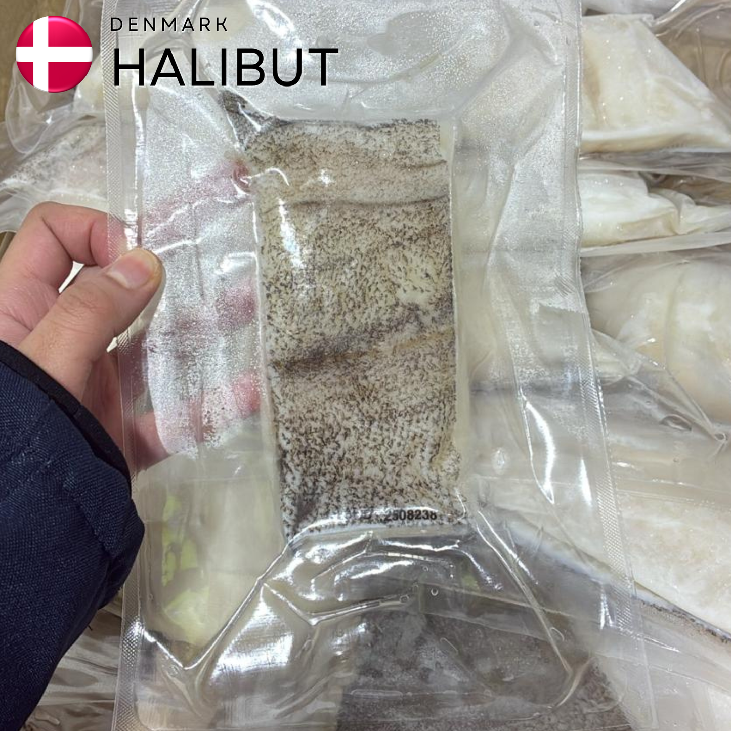 Halibut 160-180g (Frozen IQF)