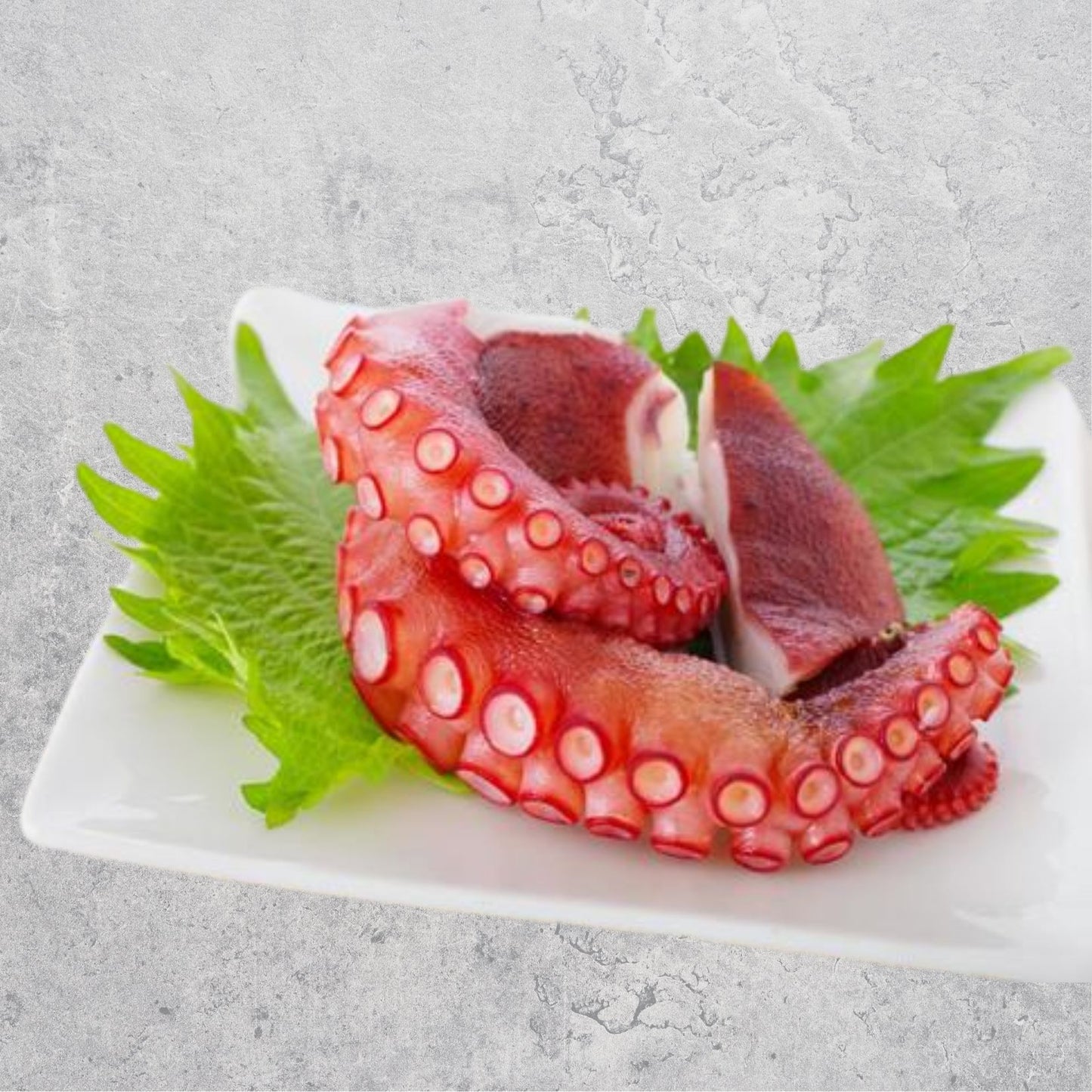 Hokkaido Octopus Leg (Sashimi Grade)