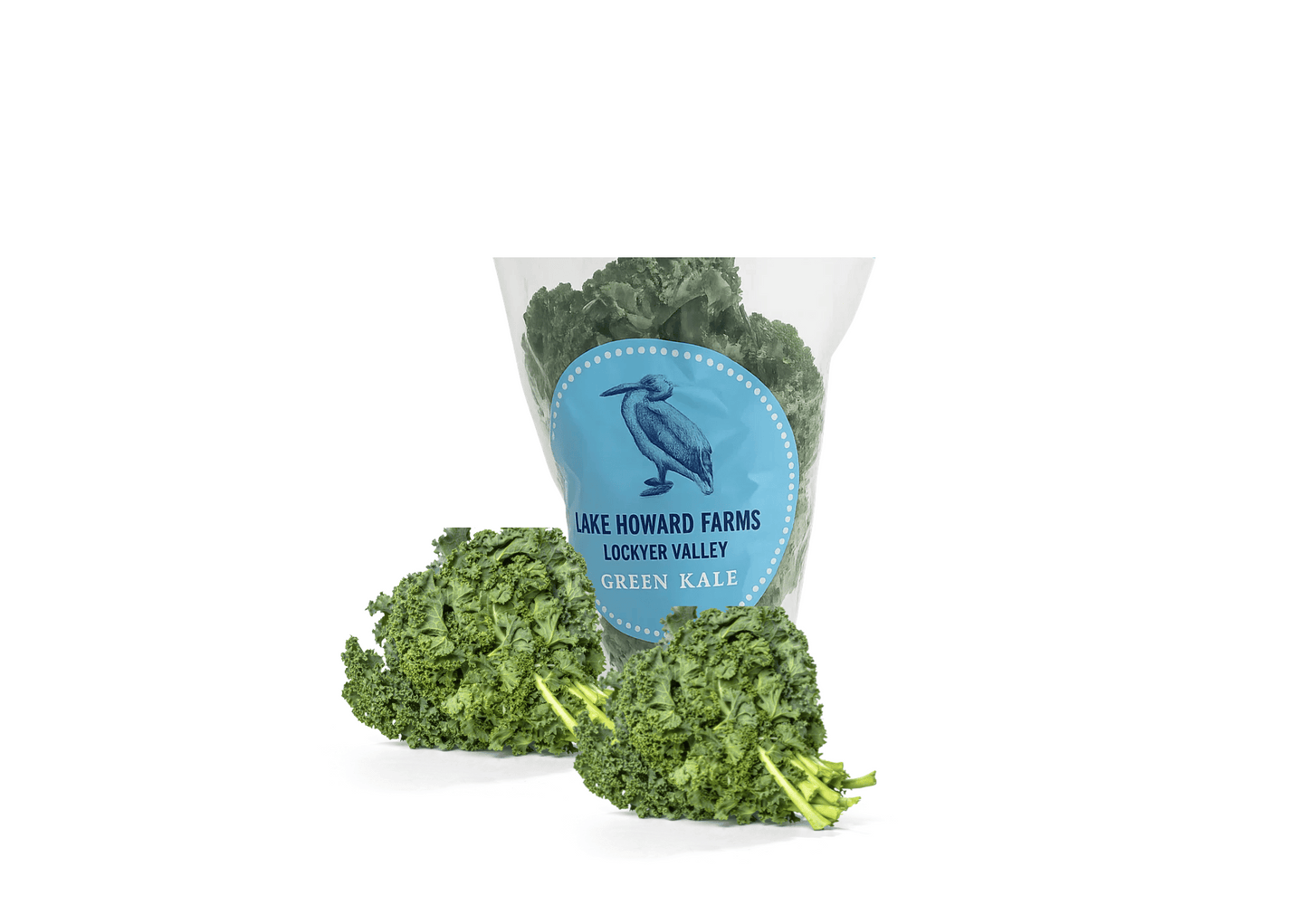 Fresh Australian Curly Kale Bunch