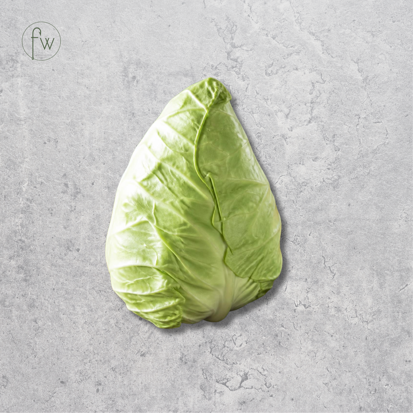 A single head of light green cabbage photographed from above on a textured light gray surface. A small circular 'fw' logo appears in the upper left corner.