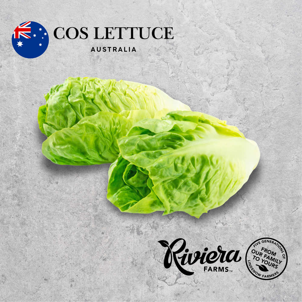 Cos lettuce, Riviera Farms, on a light background.