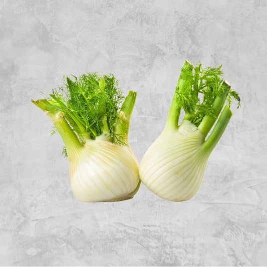 Fresh Australian Baby Fennel - 1 Big Bulb