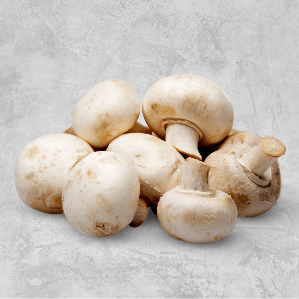 White button mushrooms on a textured gray background