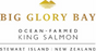 **FROZEN** NZ King Salmon Heads 1pcs/pkt (500+/-) - DEPOSIT ONLY