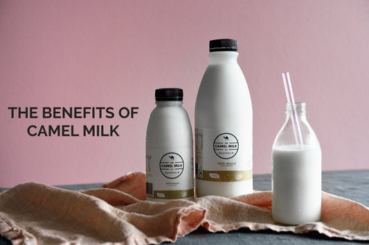 The Benefits of Drinking Camel Milk