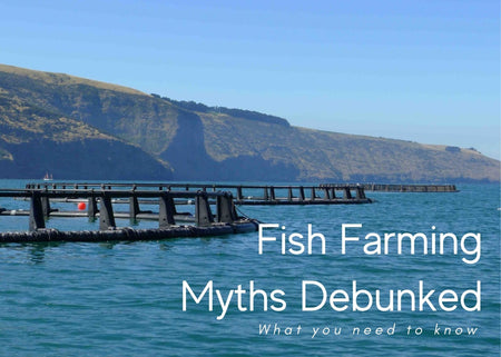 3 Things You Should Know About Fish Farming
