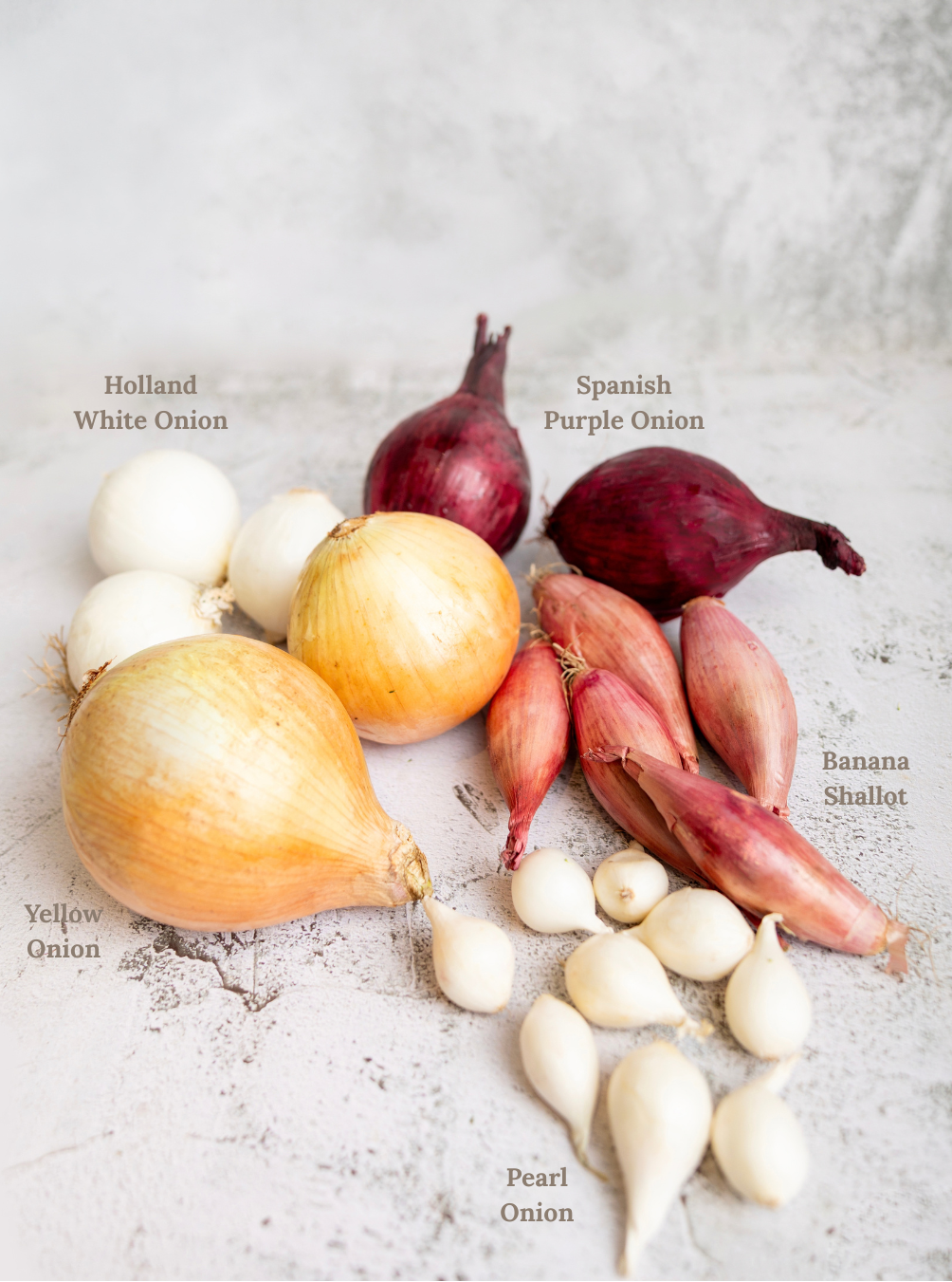 The Quiet Luxury of an Onion