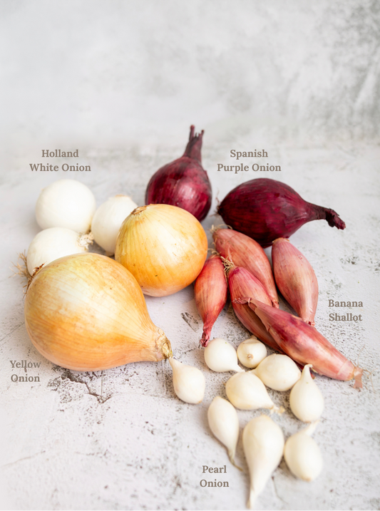The Quiet Luxury of an Onion