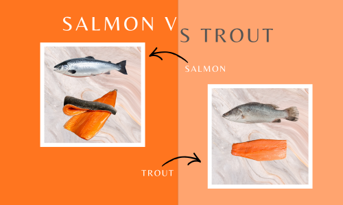 Salmon vs. Trout: A Thoughtful Look Through The Fishwives’ Eyes