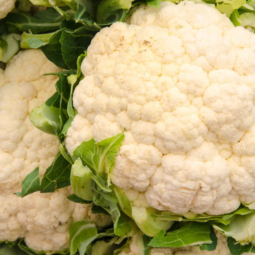 Fresh Australian cauliflower close-up.