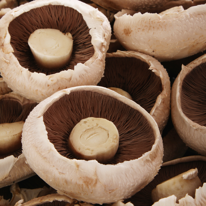 Fresh Portobello Mushroom 300g+/-