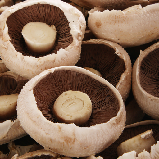 Fresh Portabello Mushroom 500g+/-