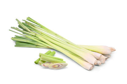 Fresh lemongrass stalks close-up.