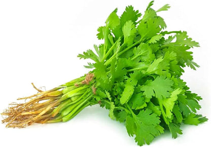 Fresh Coriander (bunch)