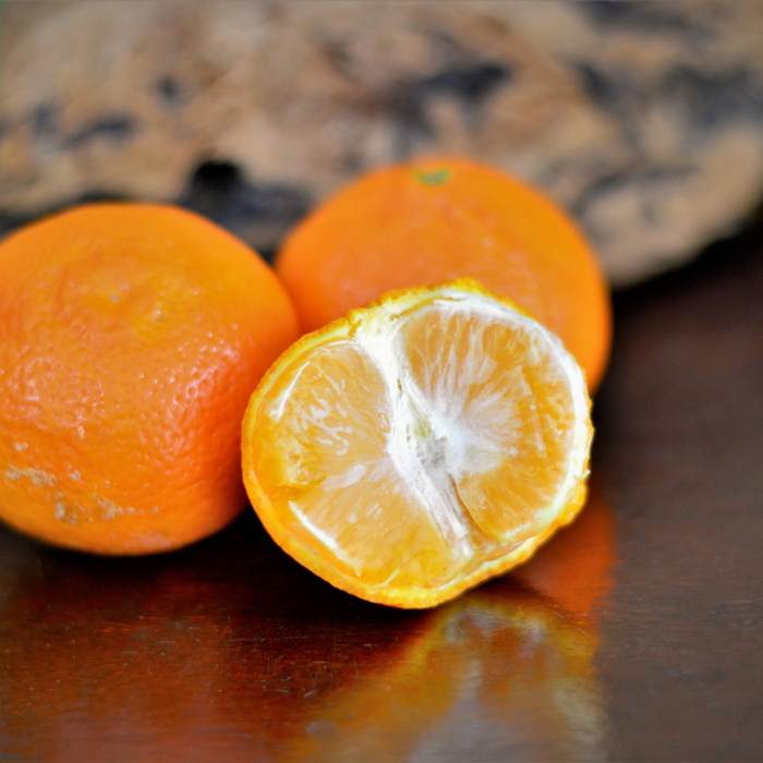 Fresh Mini Mandarins +/- 500gm