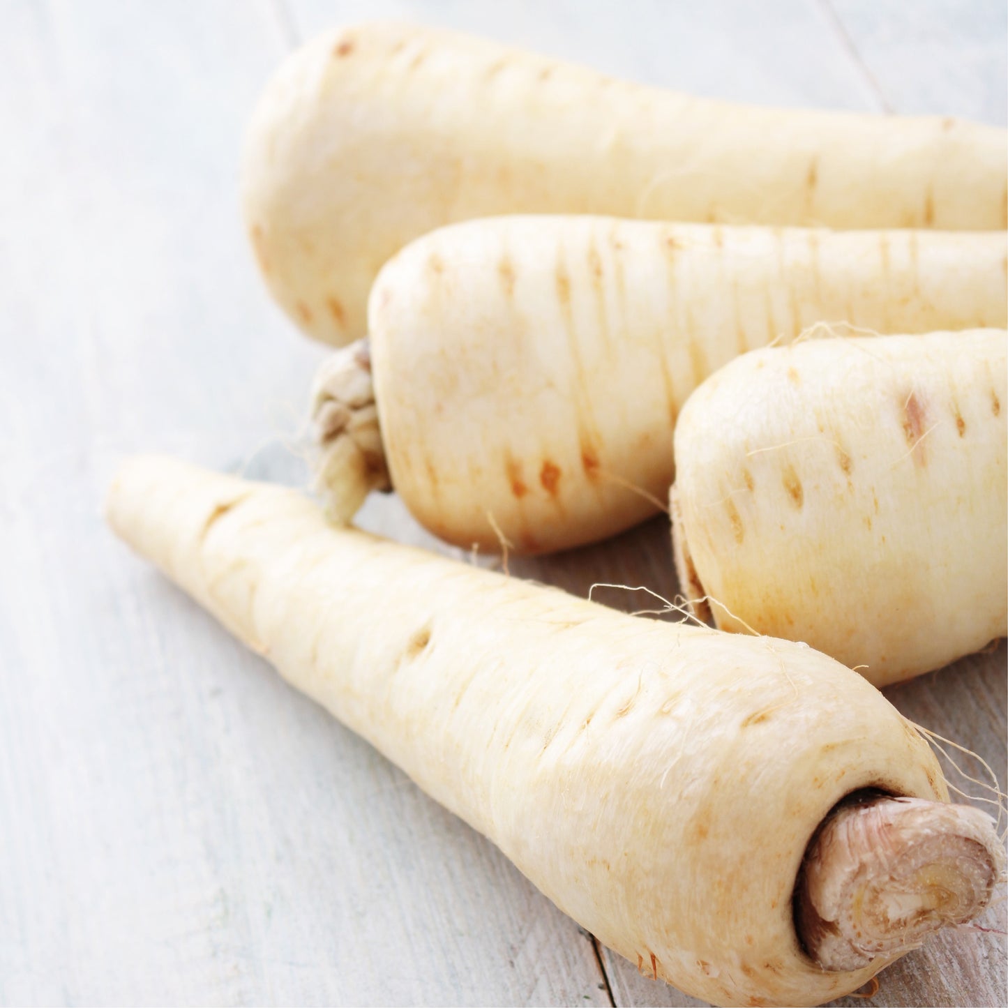 Fresh Parsnip (450 - 500g)