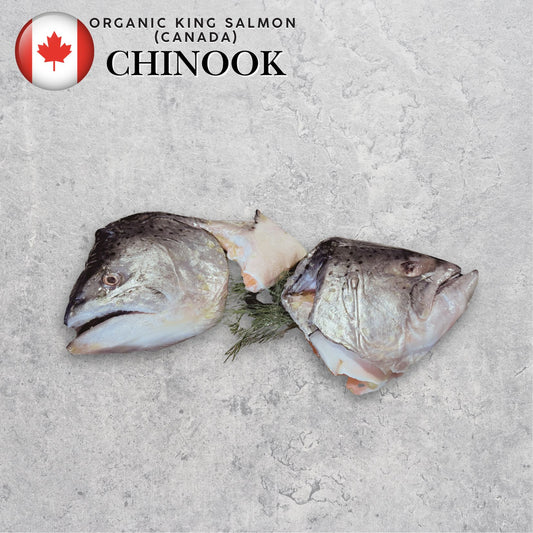 Canadian Chinook King Salmon Heads (500+/- per Pack) (Frozen)