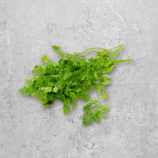 Fresh green parsley on a gray concrete surface