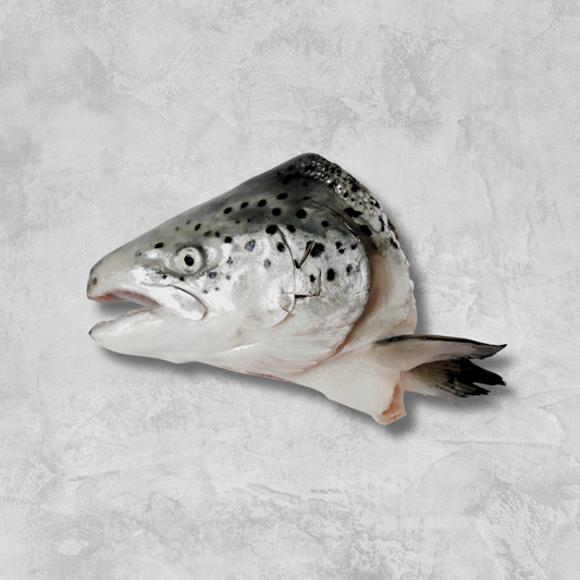 Canadian Chinook King Salmon Heads (500+/- per Pack) (Frozen)