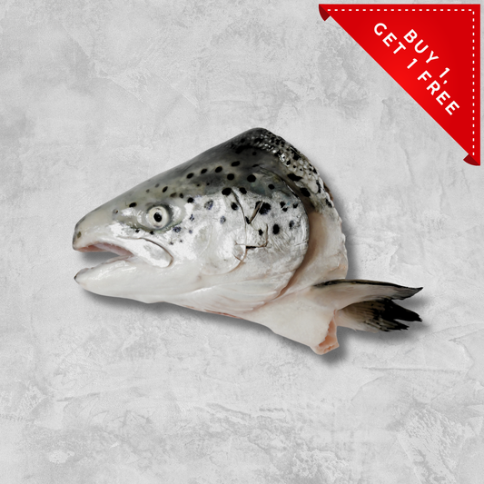 **FRESH FROZEN** Canadian Chinook King Salmon Heads 1pkt (500+/-)