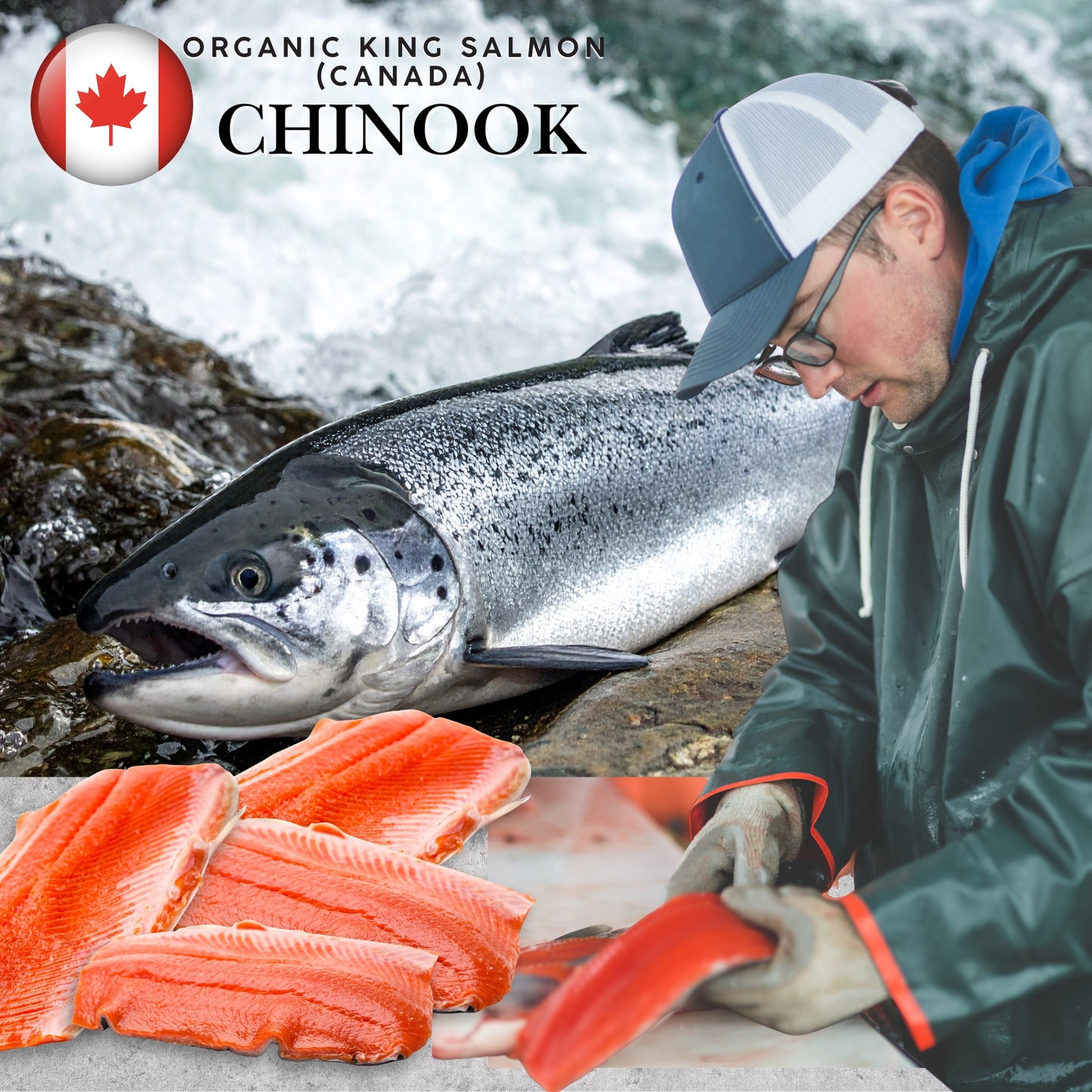 Organic Canadian Chinook/ King Salmon Skin-On Fillet (180g) (Chilled)