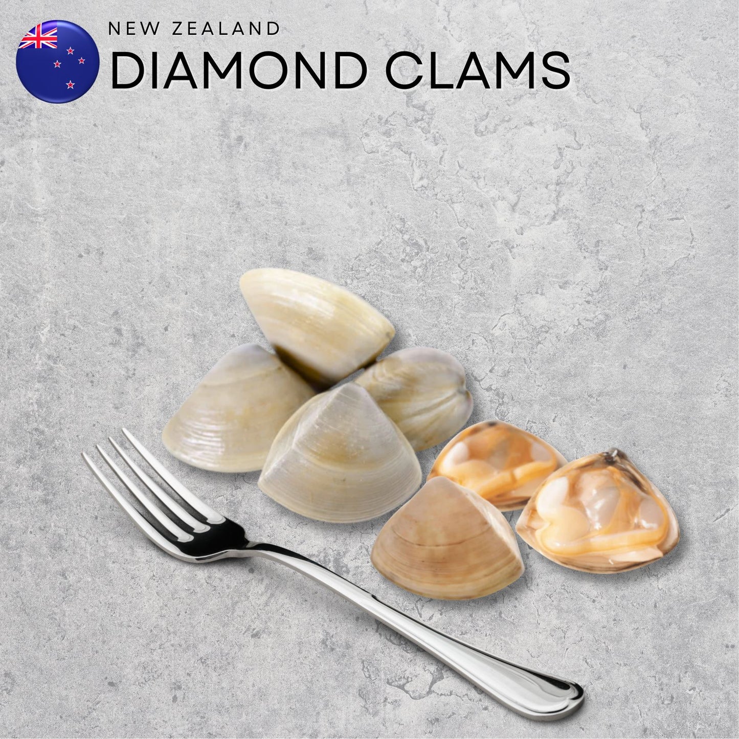 New Zealand Diamond Clams | Freshly Flown-In Premium Seafood