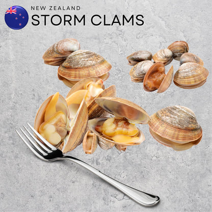 New Zealand Storm Clams | Freshly Flown-In Premium Seafood