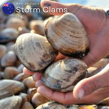 New Zealand Storm Clams | Freshly Flown-In Premium Seafood