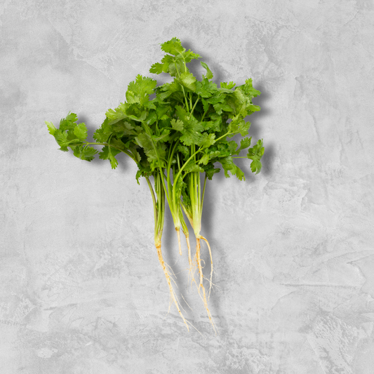 Fresh Coriander (bunch)