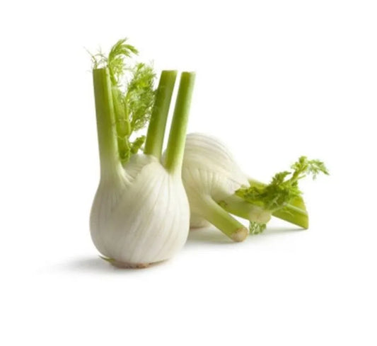 Fresh Australian Baby Fennel - 1 Bulb