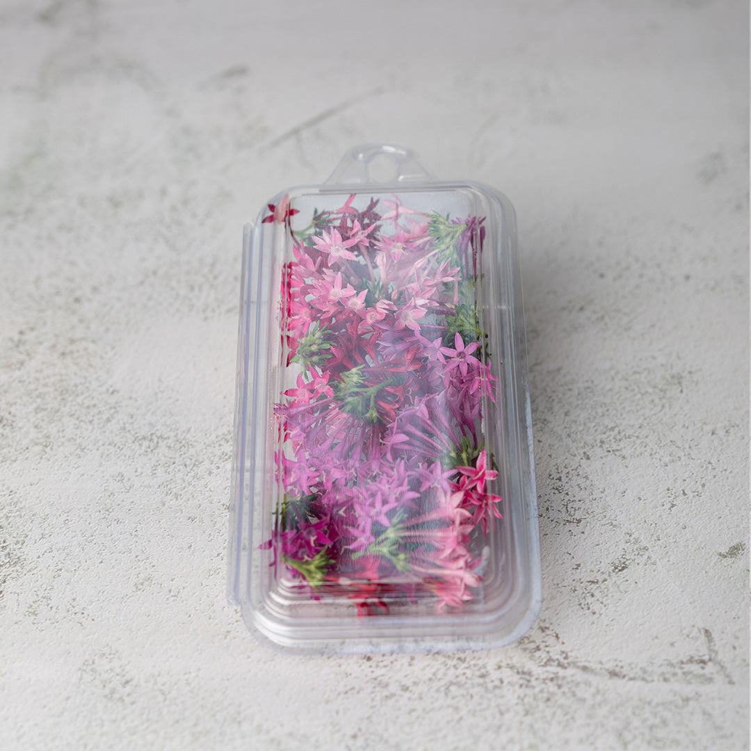Fresh Edible Flowers (10g)
