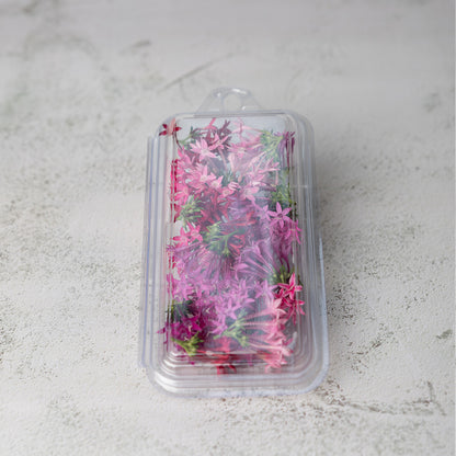Fresh Edible Flowers (10g)