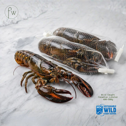 Wild Caught Canadian Lobster (400-500g) - UHP Frozen
