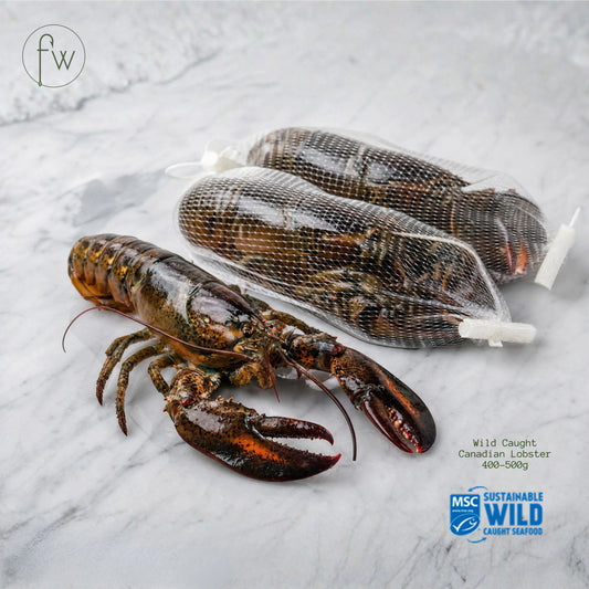 Wild Caught Canadian Lobster (400-500g) - UHP Frozen
