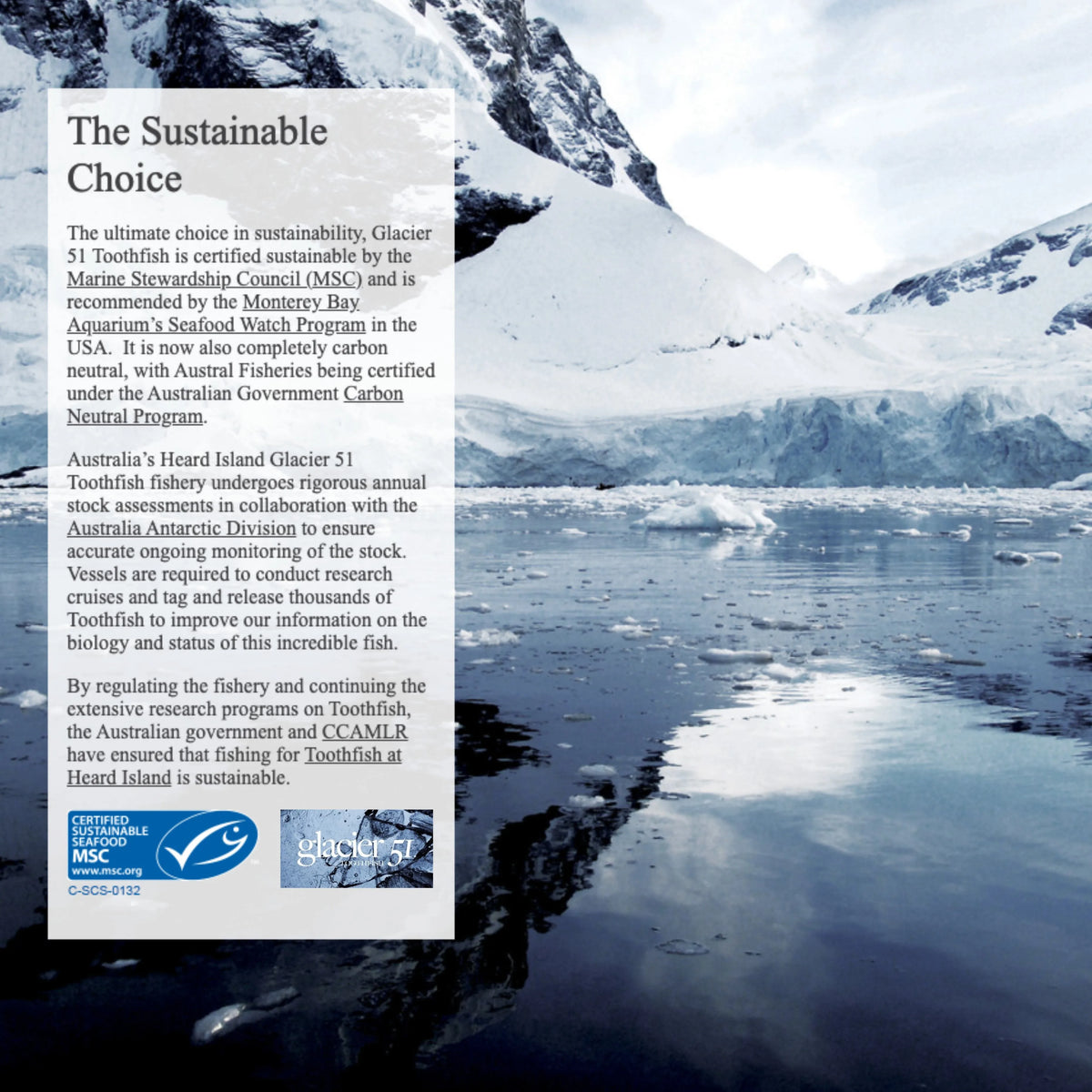 Glacier 51 Patagonian Toothfish  - WILD CAUGHT -Frozen at Sea
