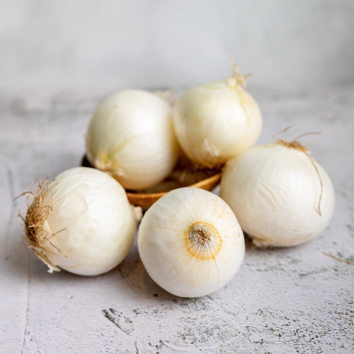 Holland White Onions (Medium Size)