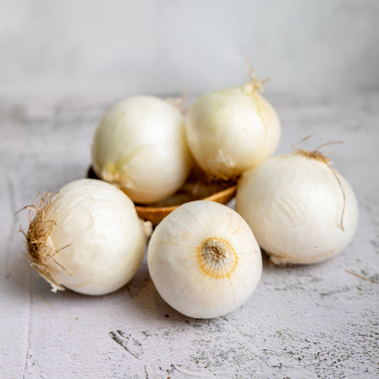 Holland White Onions (Medium Size)