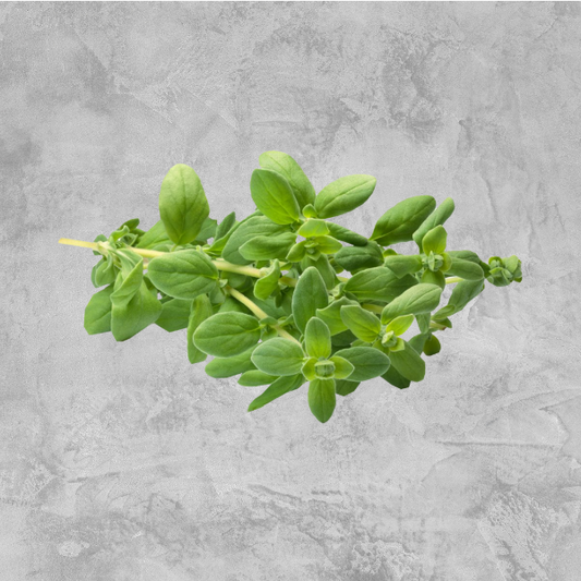 Fresh Marjoram - 50gm (bunch)