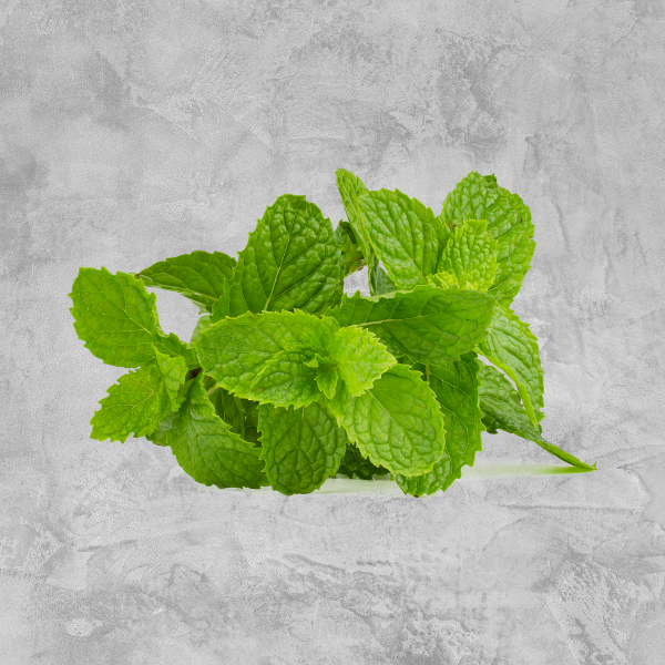 Fresh Mint - 50g (Pkt)