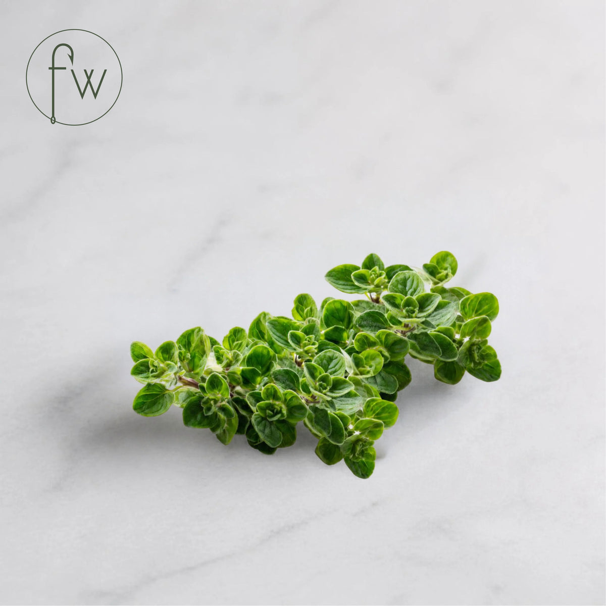 Fresh Oregano (50g, Bunch)