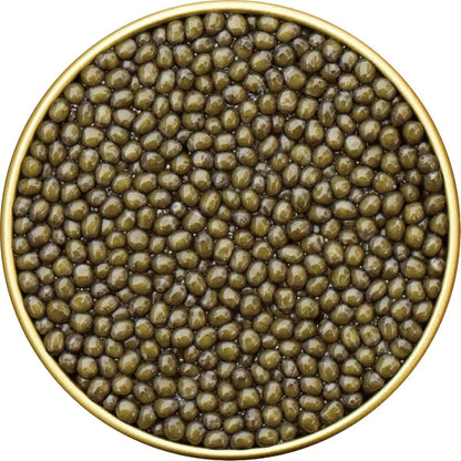 Osetra Caviar