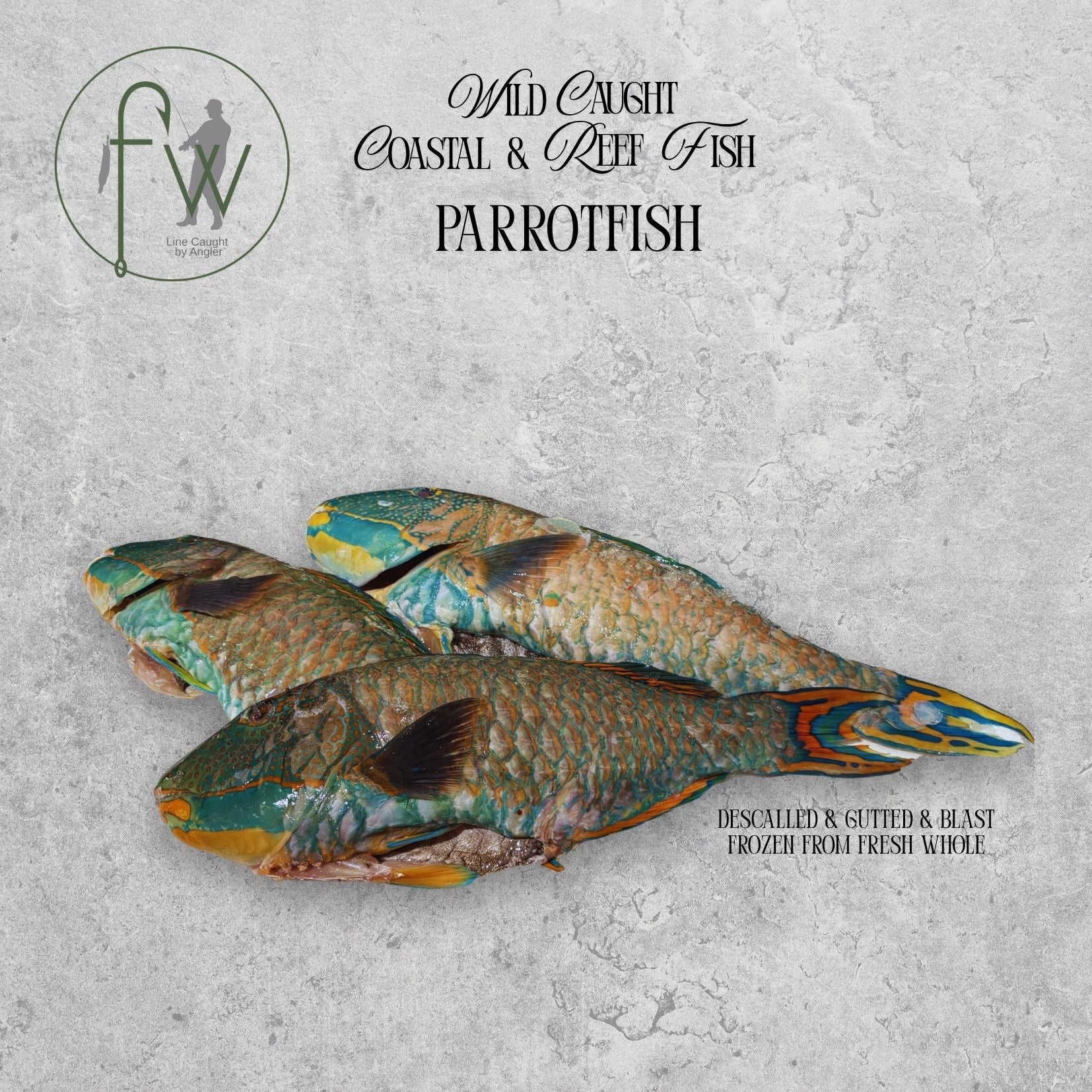 Two parrotfish on a gray surface with branding and text.