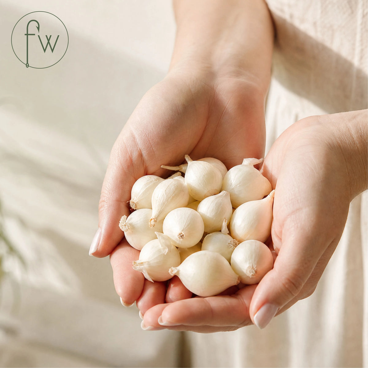 Pearl Onion (350g, 500g)